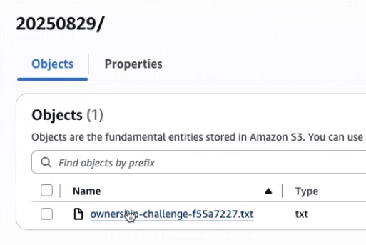 Copy Ownership Token 